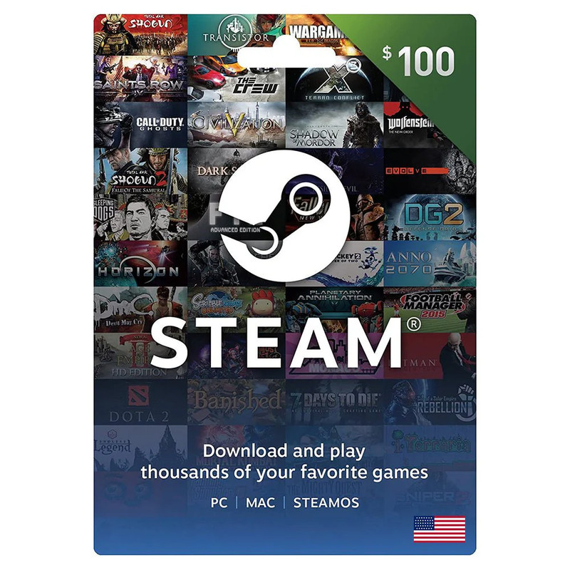 Steam USD 100